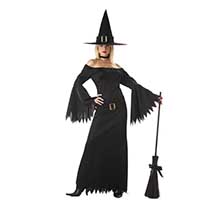 costume elegant witch